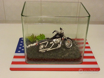 Terrario, rettilario soprammobile Harley-Davidson