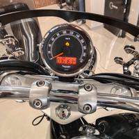 Triumph america