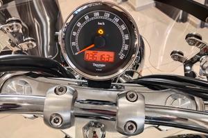 Triumph america