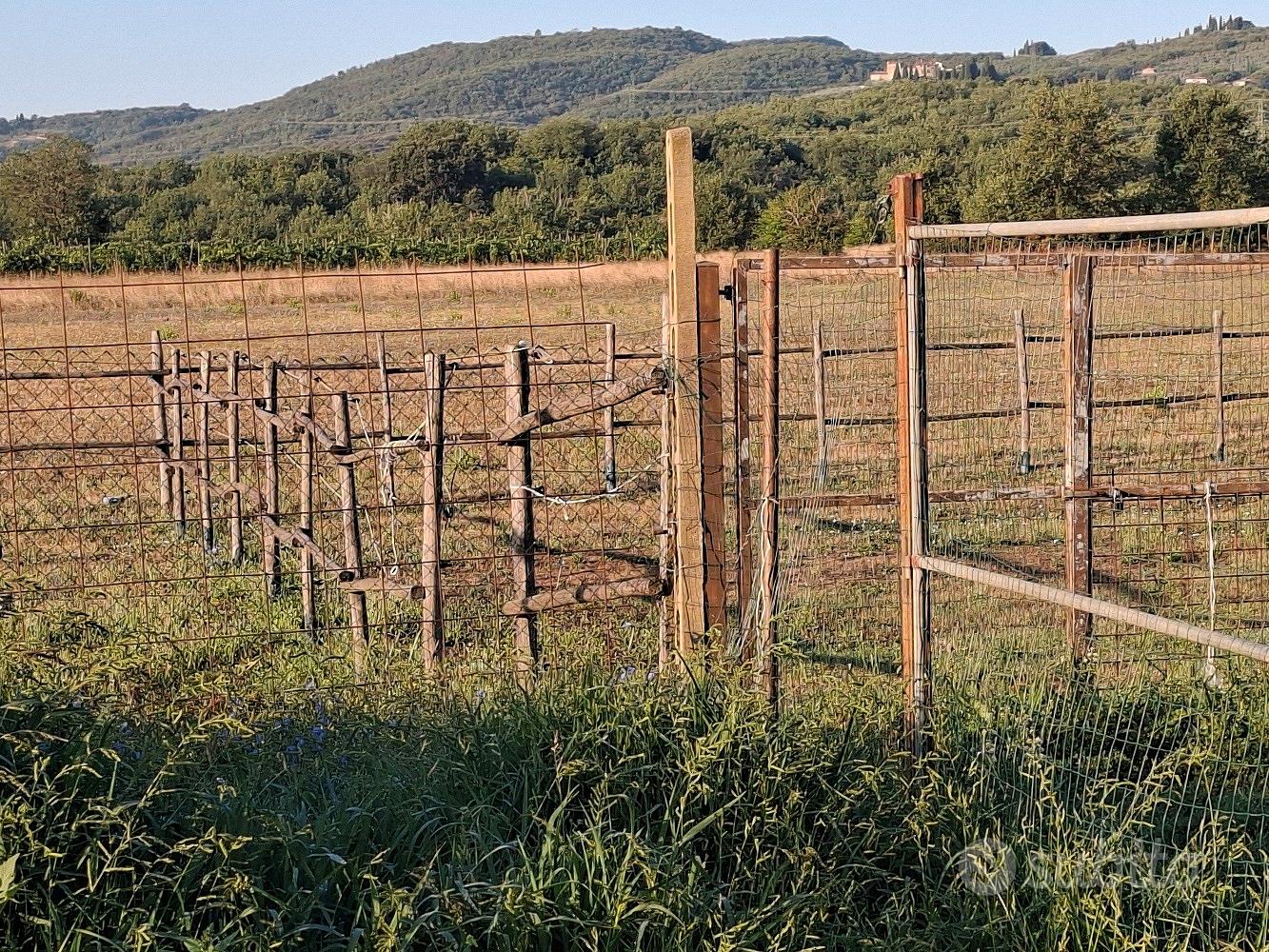 terreno agricolo - Vista 2