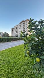 Vendita appartamento