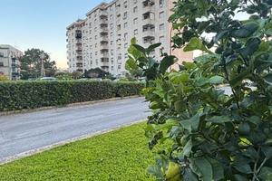 Vendita appartamento