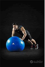 Adidas gymball passa fitness
