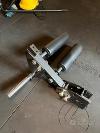Pro Leg Extension/curl (Lacertotus)