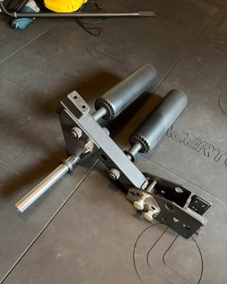 Pro Leg Extension/curl (Lacertotus)