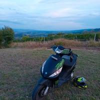 zip sp elaborato, trattabile