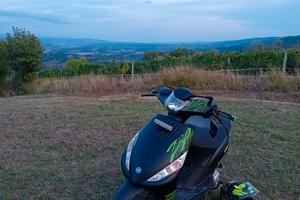 zip sp elaborato, trattabile