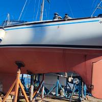 Sciarrelli Magoo 50