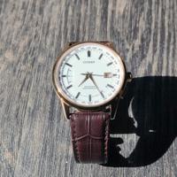 Orologio Citizen Eco-drive Gold Stainless CB0153