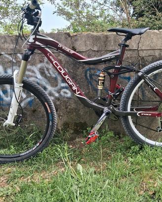 mtb Downhill