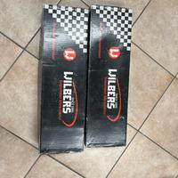 Ammortizzatori bmw R1200gs 2009 esa WP