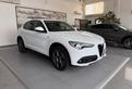 Alfa Romeo Stelvio 2.2 Turbodiesel 190 CV AT8 Q4 S