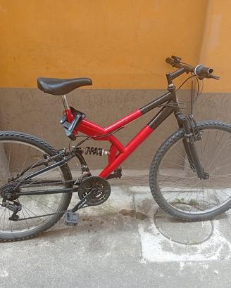 bicicletta 