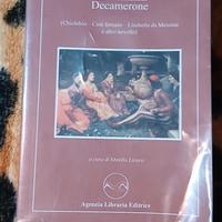 Libro Decamerone Giovanni Boccaccio -nuovo al 100%