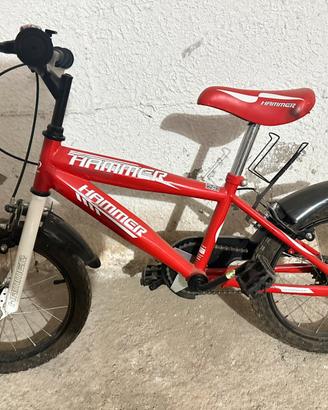 bicicletta