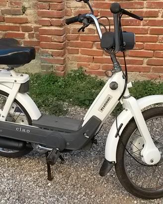 Piaggio Ciao - 1982