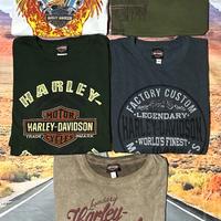 5 T-shirt  XXL Originali Harley Davidson Stupende