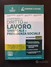 Compendio di diritto del lavoro