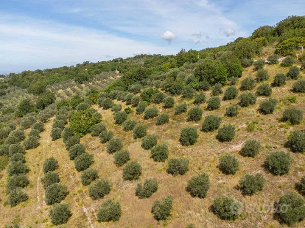 Terreno di 3770 m² a Poggio Nativo - Vista 3