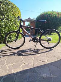 bicicletta