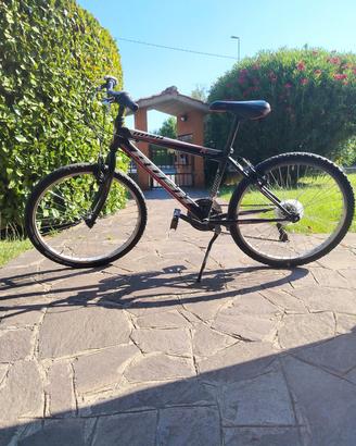 bicicletta