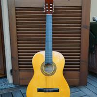 Chitarra Alliance FX - 4 /4 T