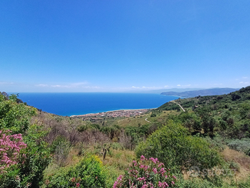 Terreno con uliveto e rustico di 3 piani