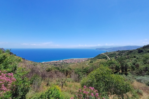 Terreno con uliveto e rustico di 3 piani
