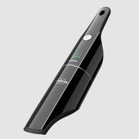 Aspirabriciole Folletto Black limited edition