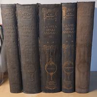 Lussuosa enciclopedia UTET animali