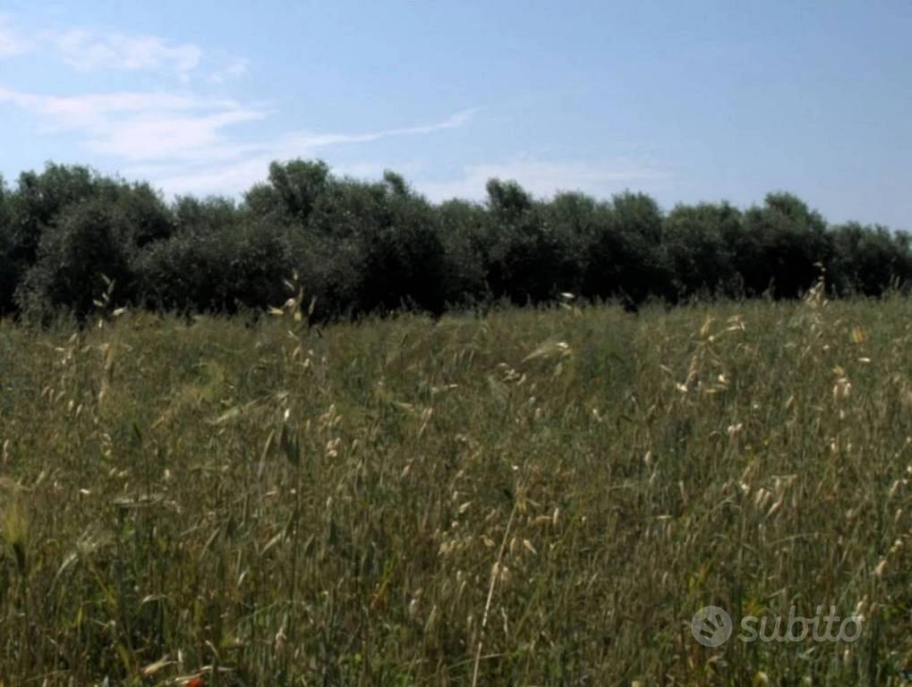 Immobile in asta di 5649 m² a Fonni - Vista 5