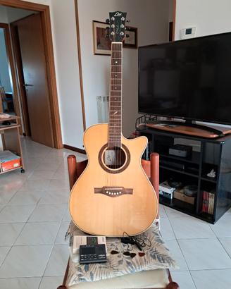 Chitarra elettrificata