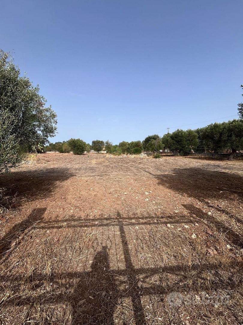 Compdo Terreno su strada Recintato - Altro