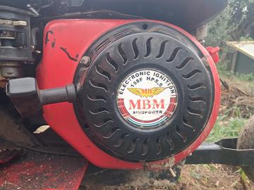 Motozappa  Benassi 