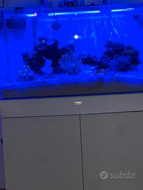 Acquario marino
