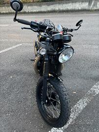Splendida Triumph Bonneville T100 Black Café Racer