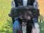Immagine 5