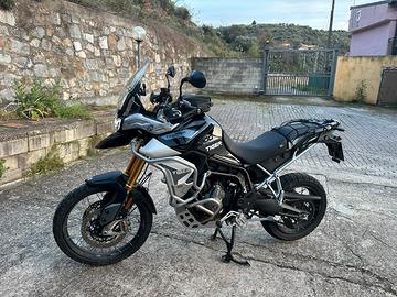 Triumph Tiger Rally pro