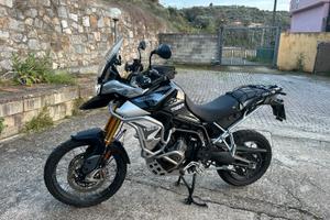 Triumph Tiger Rally pro