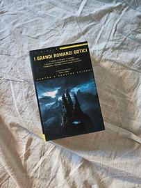 Raccolta di romanzi gotici