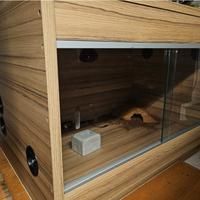 Terrari di varie misure 