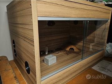 Terrari di varie misure 