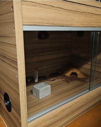 Terrari di varie misure 