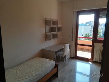 Ultima stanza in zona universitaria