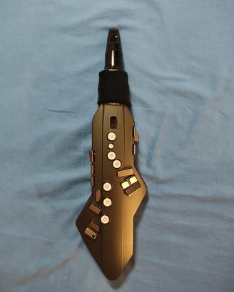 ROLAND AE-5 Aerophone Go