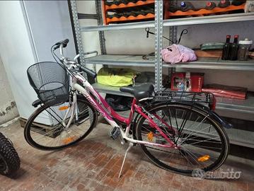 Bicicletta donna City bike Lombardo siena 100