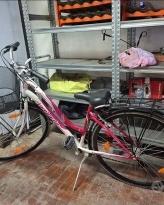 Bicicletta donna City bike Lombardo siena 100