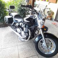 Triumph America - 2014