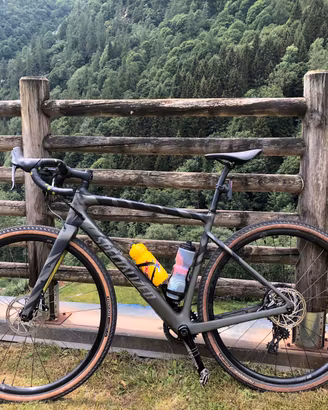Specialized diverge comp carbon