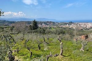 Terreno Agricolo Barcellona Pozzo di Gotto